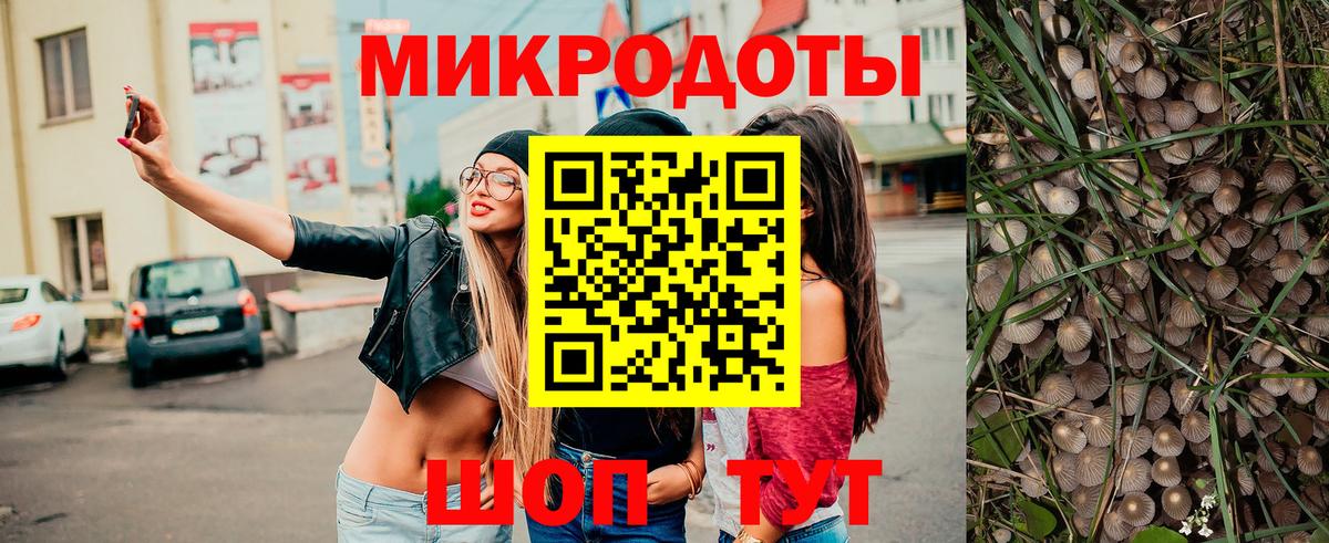 Псилоцибиновые грибы мицелий Топки