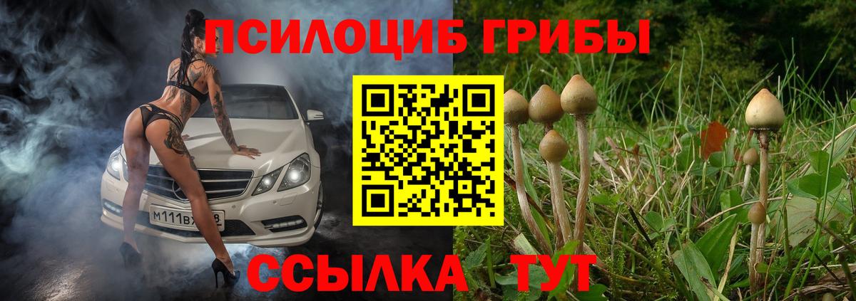 Псилоцибиновые грибы прущие грибы  Вход с VPN  Галлюциногенные грибы мицелий  Топки 